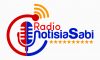 logo radio